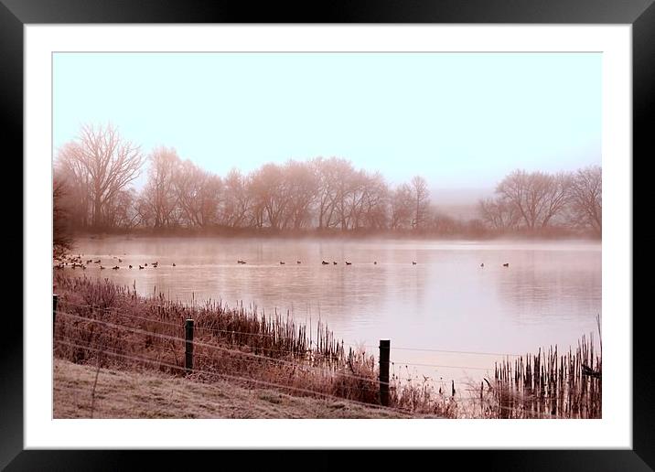  Frosty Morning on the pond Framed Mounted Print by shawn mcphee I