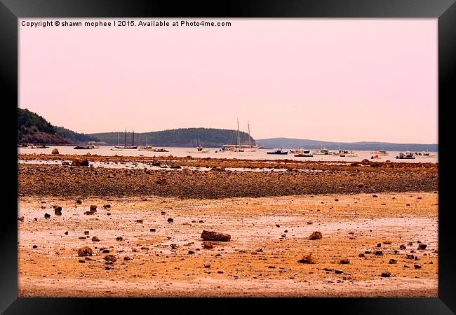  Bar Harbour at low tide Framed Print by shawn mcphee I