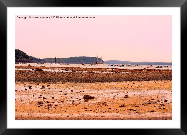  Bar Harbour at low tide Framed Mounted Print by shawn mcphee I
