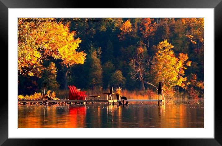  cottage life Framed Mounted Print by shawn mcphee I