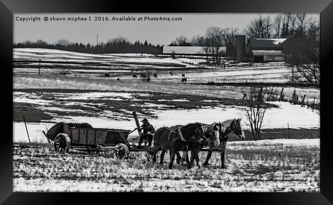 The Simple Life Framed Print by shawn mcphee I