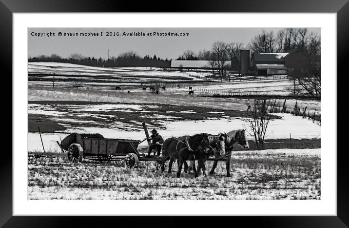 The Simple Life Framed Mounted Print by shawn mcphee I