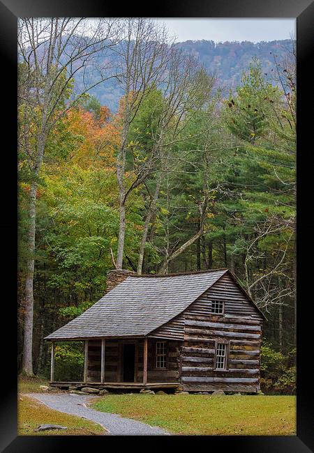  Cabin in the Woods Framed Print by Timothy Bell