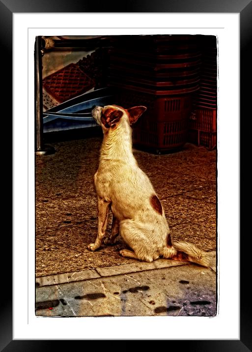   His Master's Voice Framed Mounted Print by Mary Machare