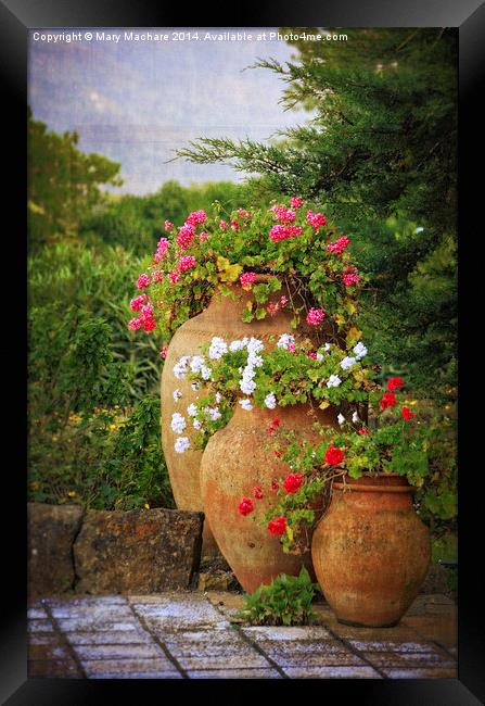 In A Portuguese Garden Framed Print by Mary Machare