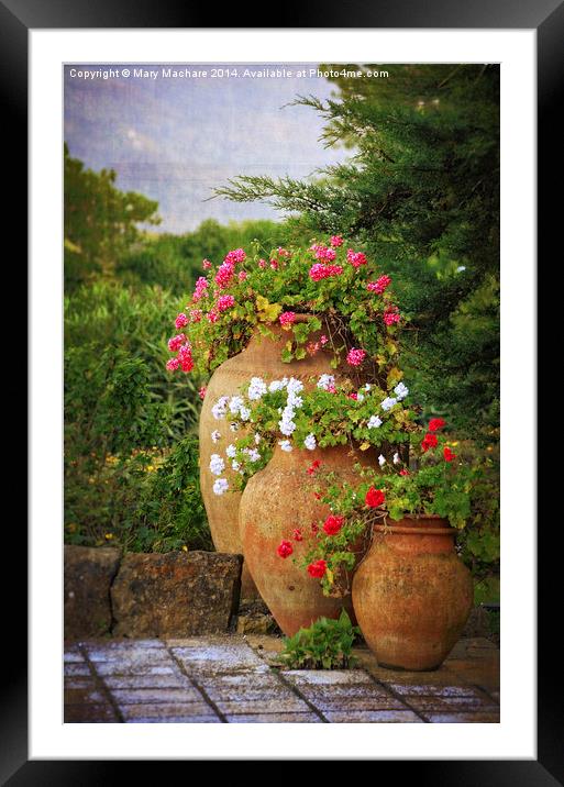 In A Portuguese Garden Framed Mounted Print by Mary Machare