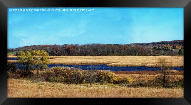 The Marsh Framed Print by Mary Machare