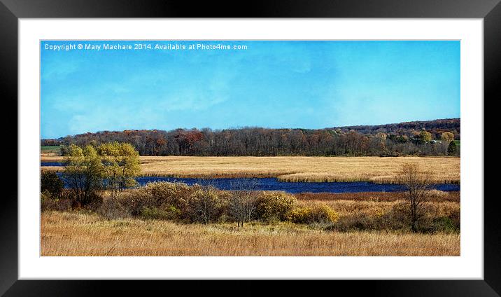 The Marsh Framed Mounted Print by Mary Machare