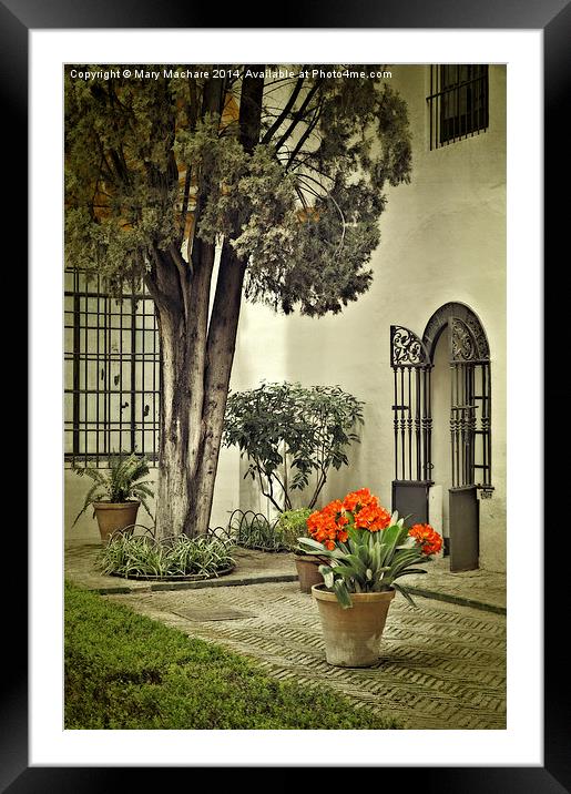 Red Geraniums In The Courtyard Framed Mounted Print by Mary Machare