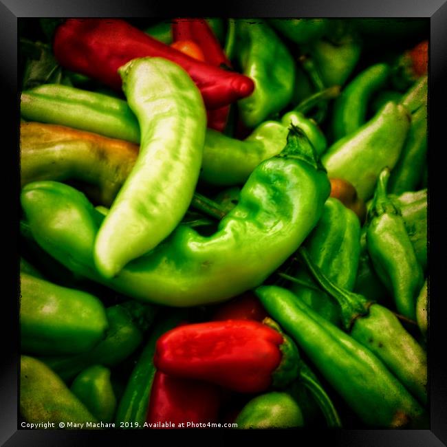 Peppers at the Market Framed Print by Mary Machare