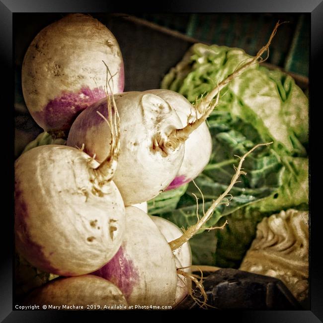 Turnips at the Market Framed Print by Mary Machare