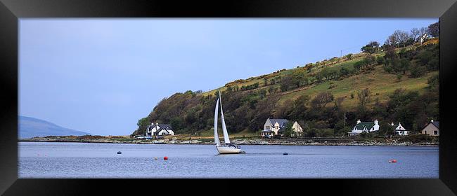  Setting Sail Framed Print by Alan Whyte