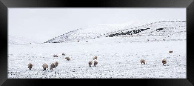 Winter in The Pentlands Framed Print by Alan Whyte