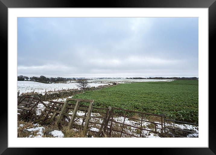  Winter Scene Framed Mounted Print by Alan Whyte