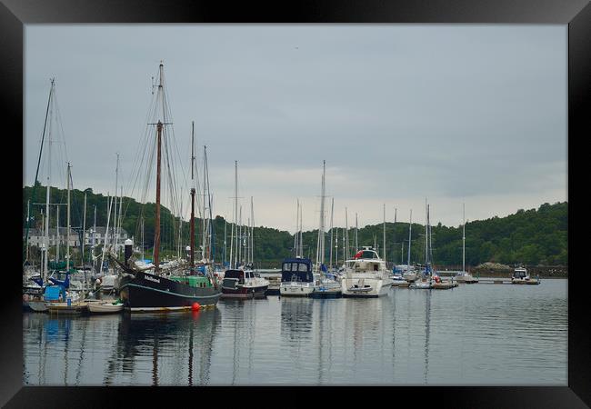 Tarbert harbour Framed Print by Paul Collis