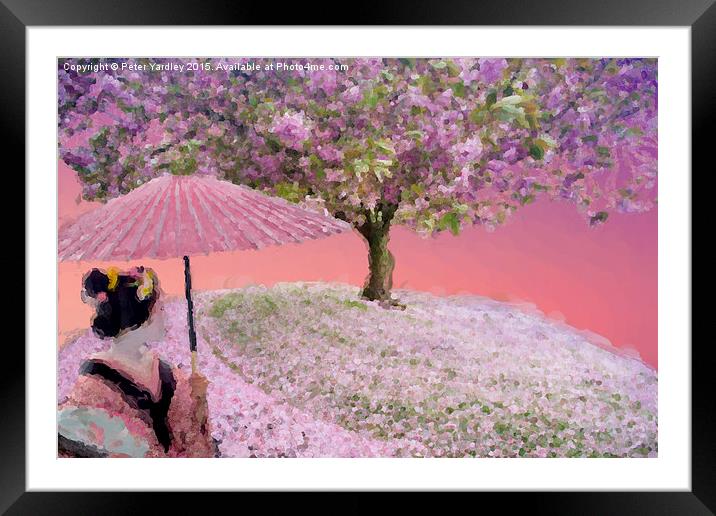  Cherry Blossom With Geisha Framed Mounted Print by Peter Yardley
