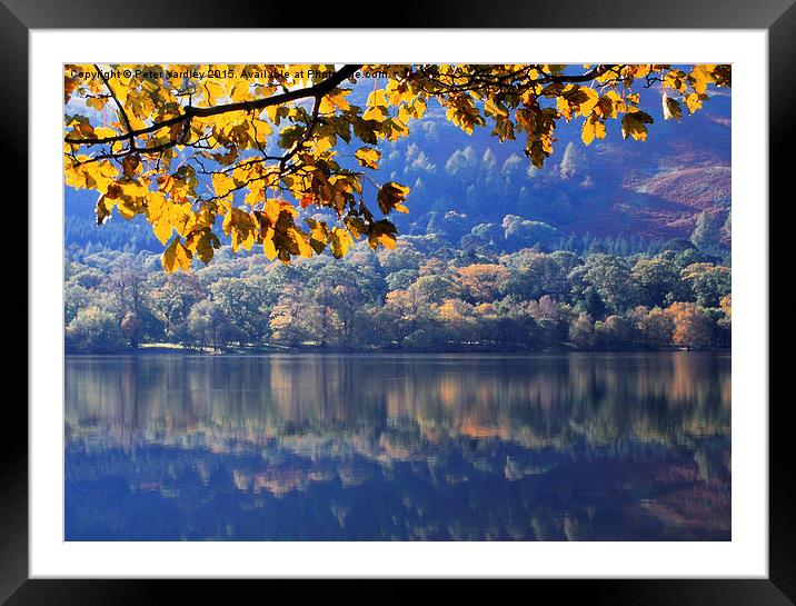  Autumn at Loweswater Framed Mounted Print by Peter Yardley