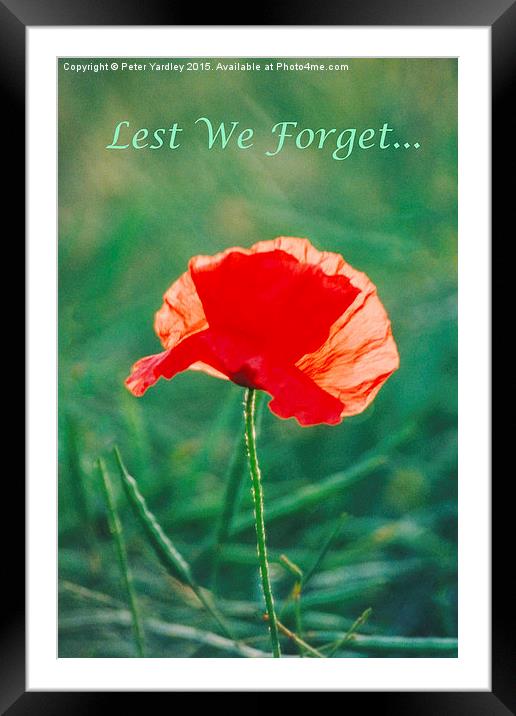 Poppy…In Remembrance  Framed Mounted Print by Peter Yardley