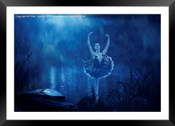  Ballerina in Blue Framed Mounted Print by Peter Yardley