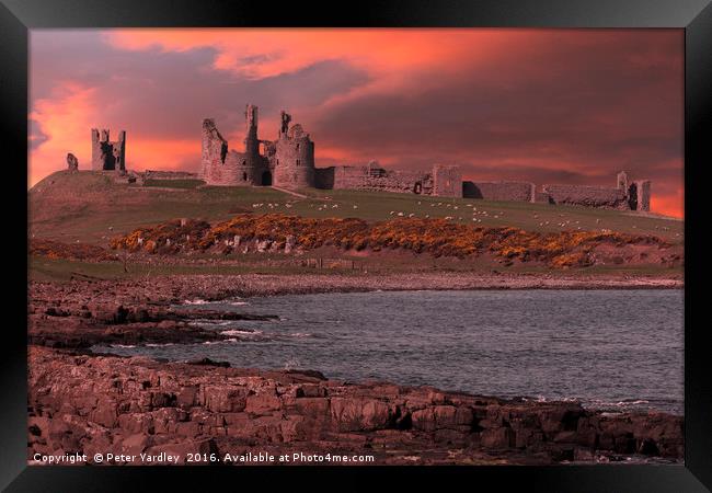 Dunstanburgh Castle Framed Print by Peter Yardley