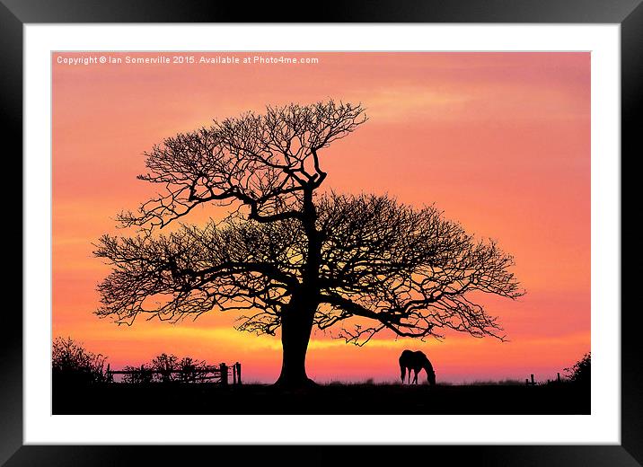  silhouette at sunset Framed Mounted Print by Ian Somerville