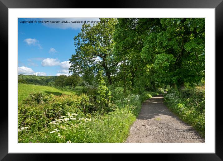 English country lane in early summer Framed Mounted Print by Andrew Kearton
