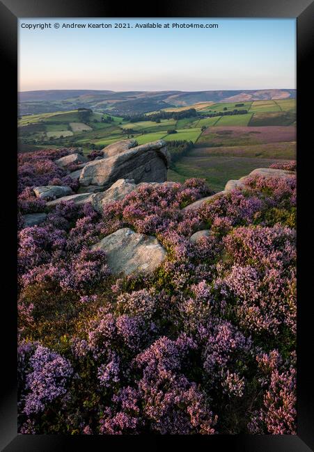 Heather at the Worm Stones, Glossop, Derbyshire Framed Print by Andrew Kearton