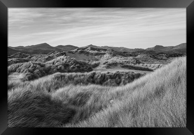 Dunes at Harlech, North Wales Framed Print by Andrew Kearton