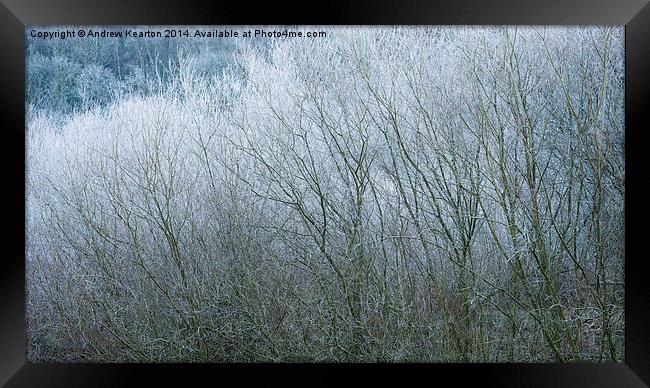  Frosted Willow abstract Framed Print by Andrew Kearton