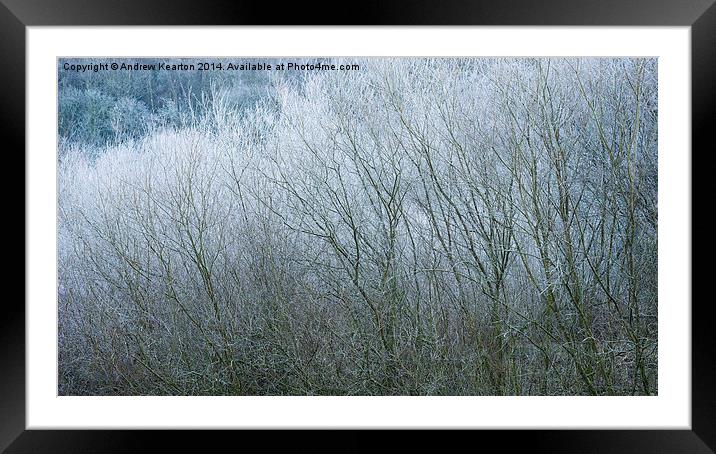  Frosted Willow abstract Framed Mounted Print by Andrew Kearton