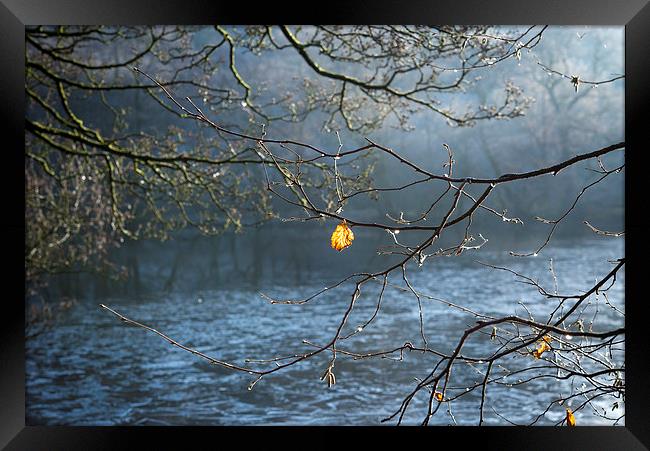  Hanging on Framed Print by Andrew Kearton