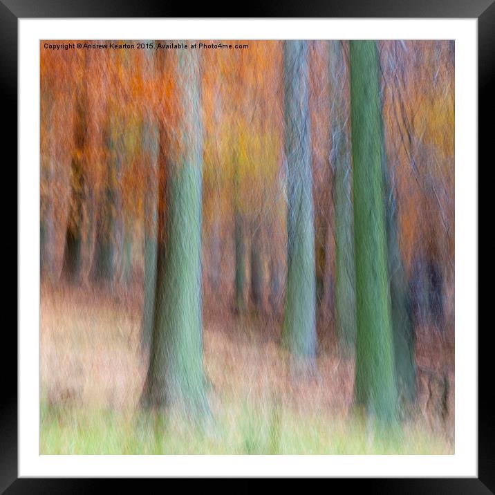  Autumn forest abstract Framed Mounted Print by Andrew Kearton