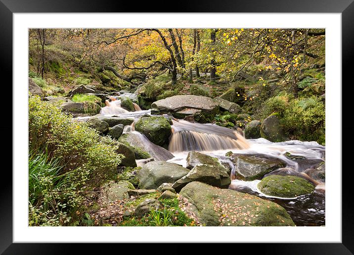  Beside a moorland stream in autumn Framed Mounted Print by Andrew Kearton
