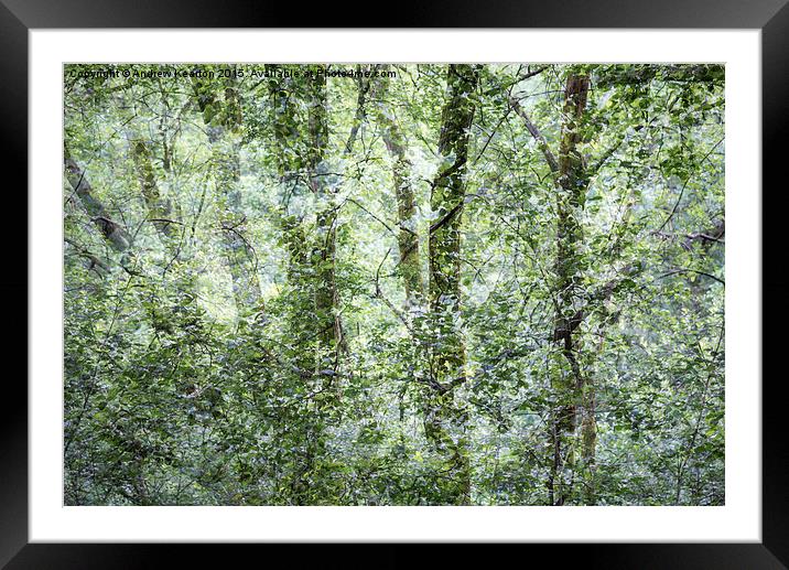  Pattern of greens in the woods Framed Mounted Print by Andrew Kearton