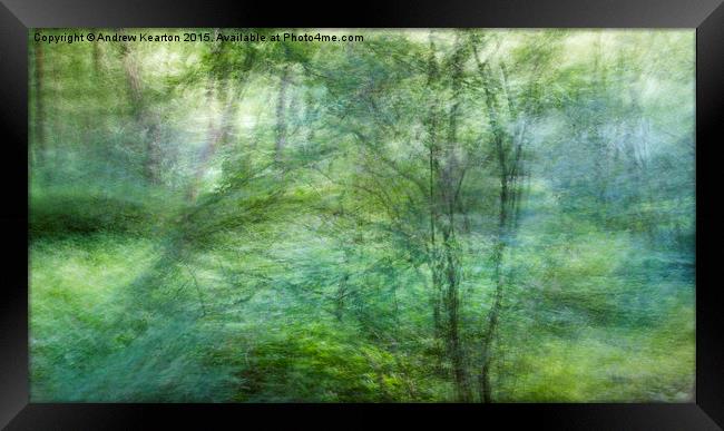  Soft pastel green colours in the woods Framed Print by Andrew Kearton