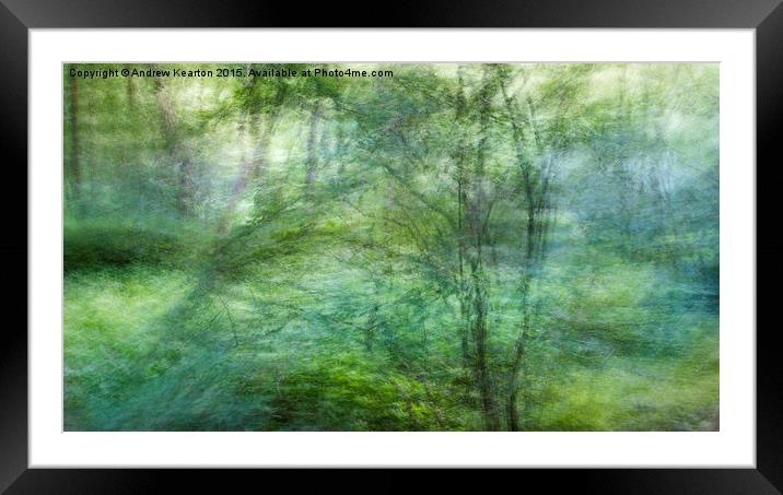  Soft pastel green colours in the woods Framed Mounted Print by Andrew Kearton