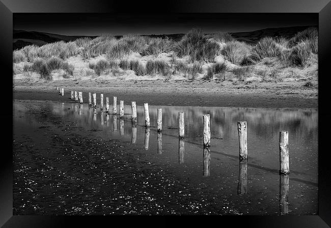  Posts and dunes at Borth beach, Wales Framed Print by Andrew Kearton