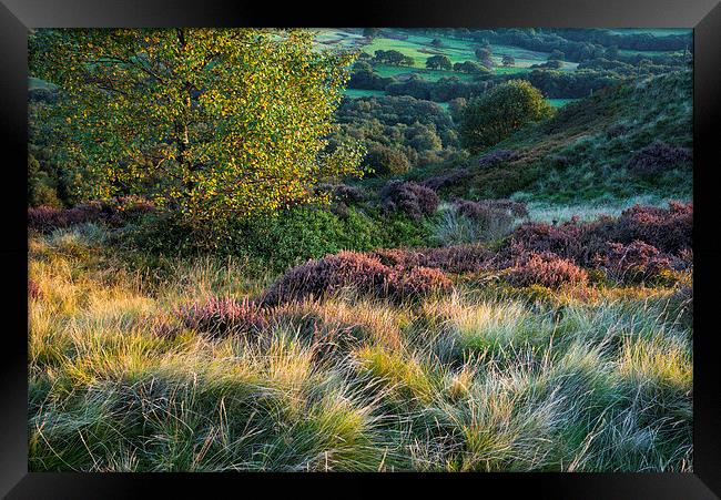  Colours and textures of September Framed Print by Andrew Kearton