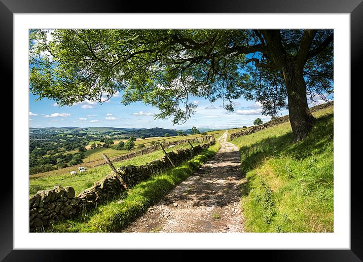  Rural farm track on a sunny summer day Framed Mounted Print by Andrew Kearton