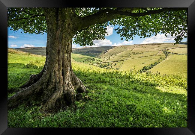  In the shade on a sunny day in the High Peak Framed Print by Andrew Kearton
