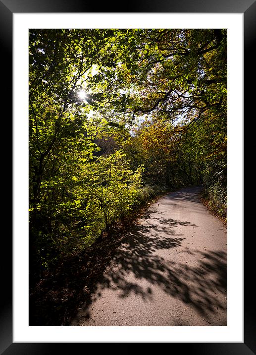  Shadows on the path Framed Mounted Print by Andrew Kearton