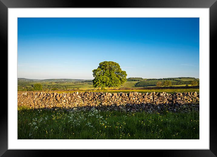 Peak District countryside in summer Framed Mounted Print by Andrew Kearton