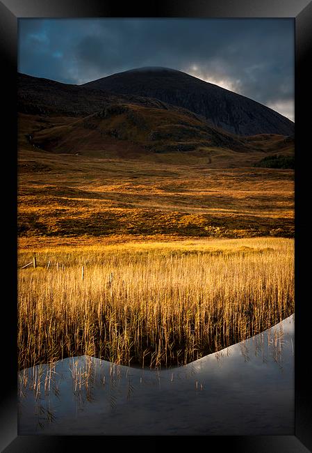  Golden reeds, Loch Cill Chriosd, Skye Framed Print by Andrew Kearton