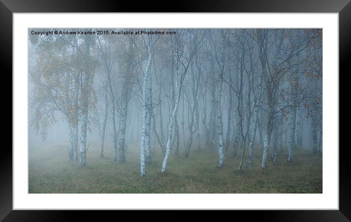  Autumn mist in Silver Birch woods Framed Mounted Print by Andrew Kearton