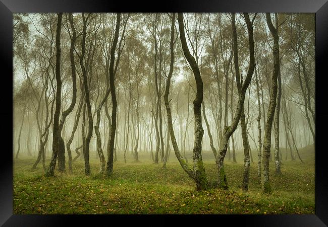 Misty Autumn woodland, Bolehill, Derbyshire Framed Print by Andrew Kearton