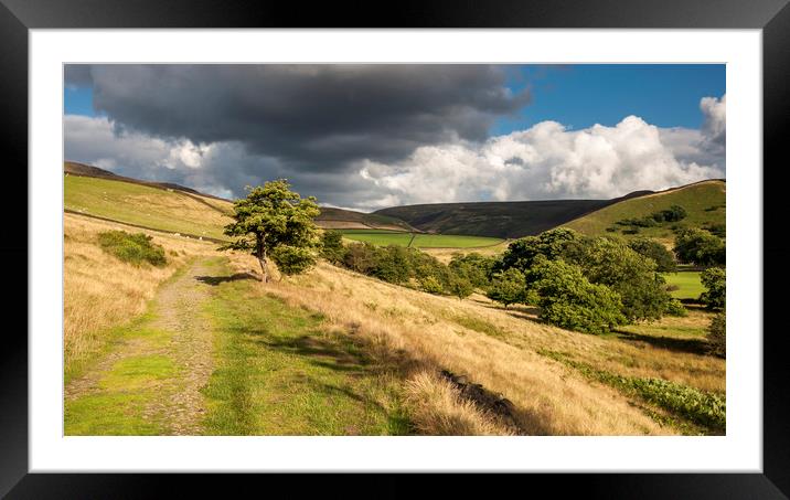 Path to the hills Framed Mounted Print by Andrew Kearton