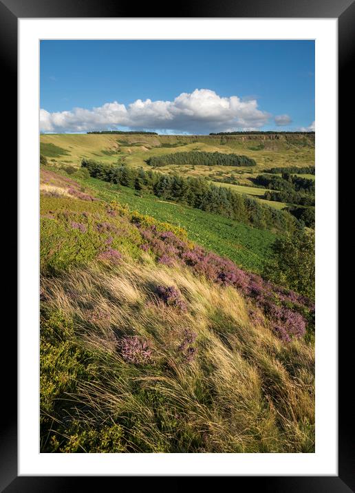 Coombes edge in summer Framed Mounted Print by Andrew Kearton