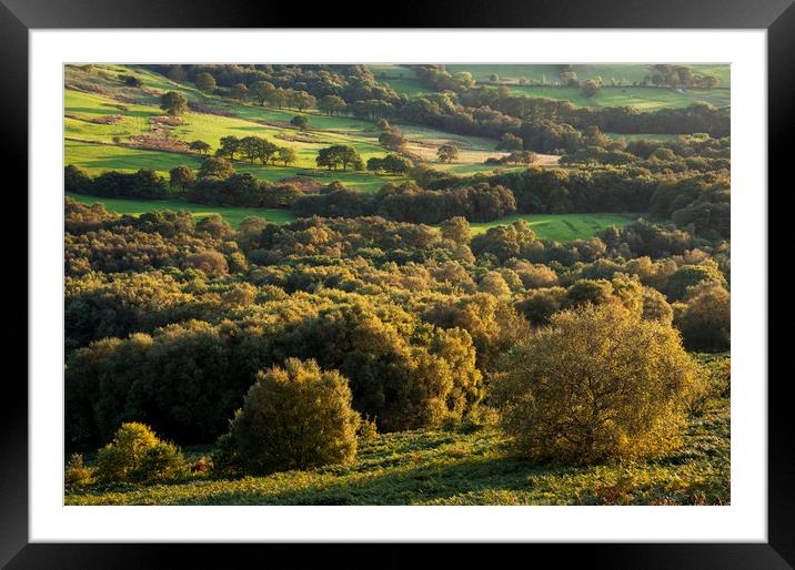 English landscape in mellow autumn sunlight Framed Mounted Print by Andrew Kearton