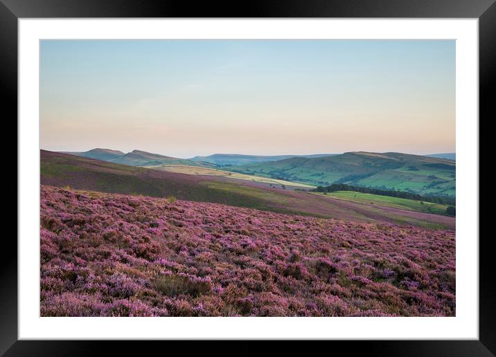 High Peak heather at dusk Framed Mounted Print by Andrew Kearton