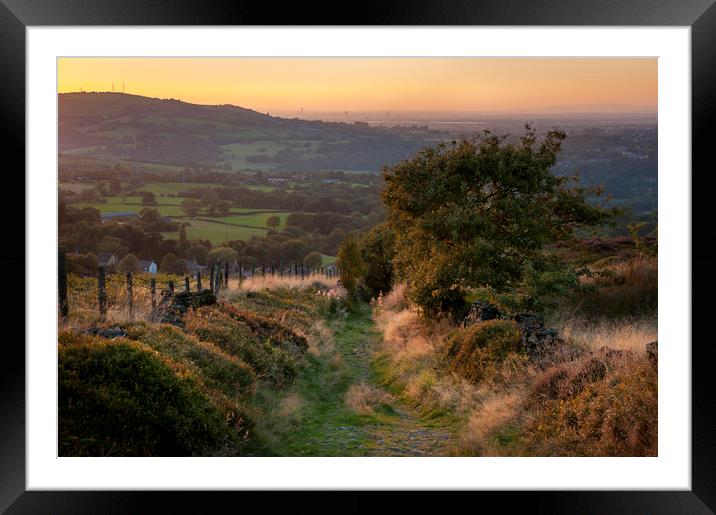 Summer evening on a hillside path Framed Mounted Print by Andrew Kearton